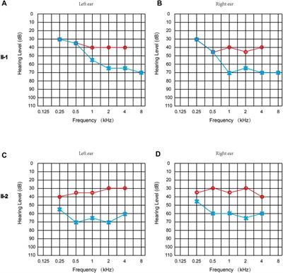 Targeted Next-Generation Sequencing Identified Novel Compound Heterozygous Variants in the PTPRQ Gene Causing Autosomal Recessive Hearing Loss in a Chinese Family